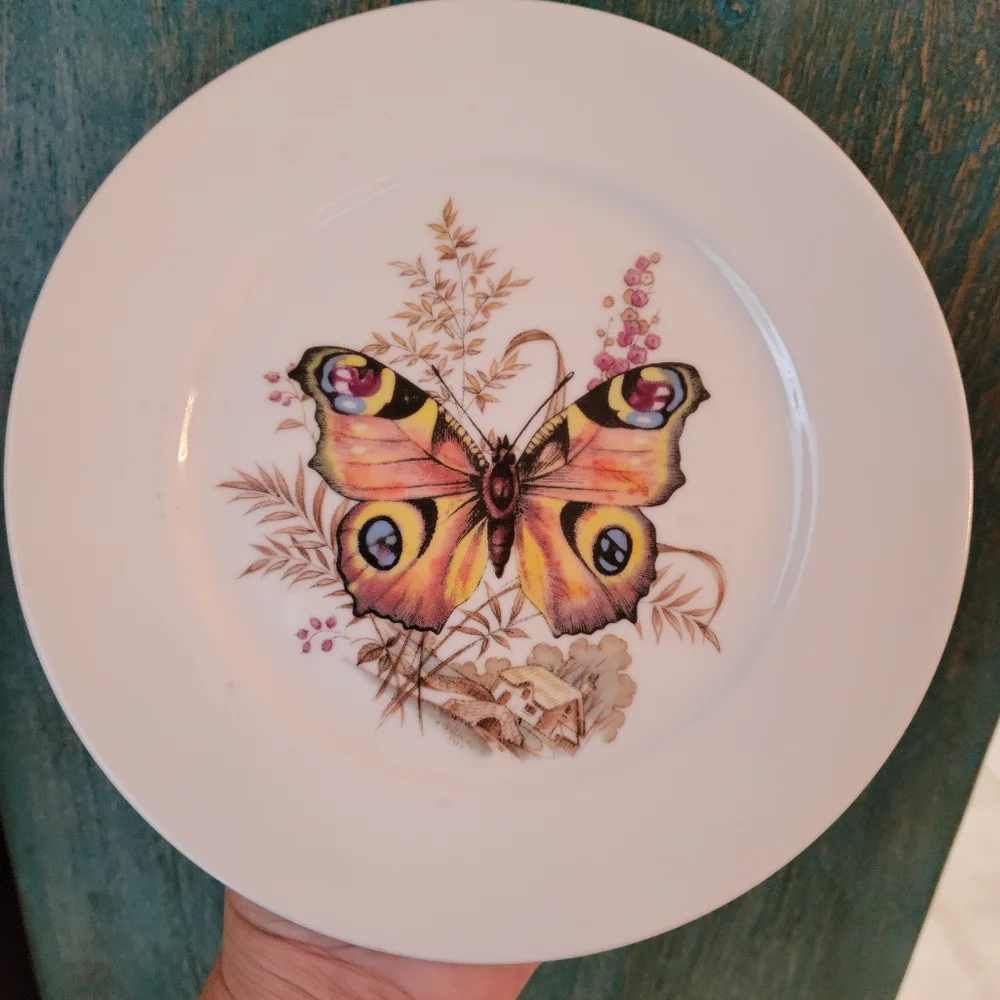 Kuba Bavaria Germany Butterfly Plate Porcelain ~ Pretty! ~ EUC ~ Nature Cottage